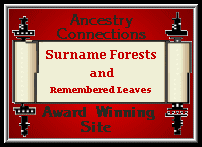 Ancestry Connections Award